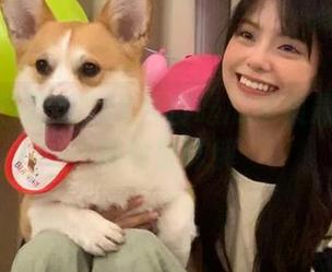 91今日吃瓜苹果最新版下载网址详解