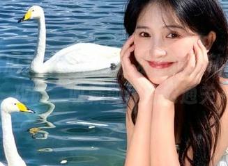 91吃瓜网址发布顶级动漫游戏攻略，收藏助你轻松通关