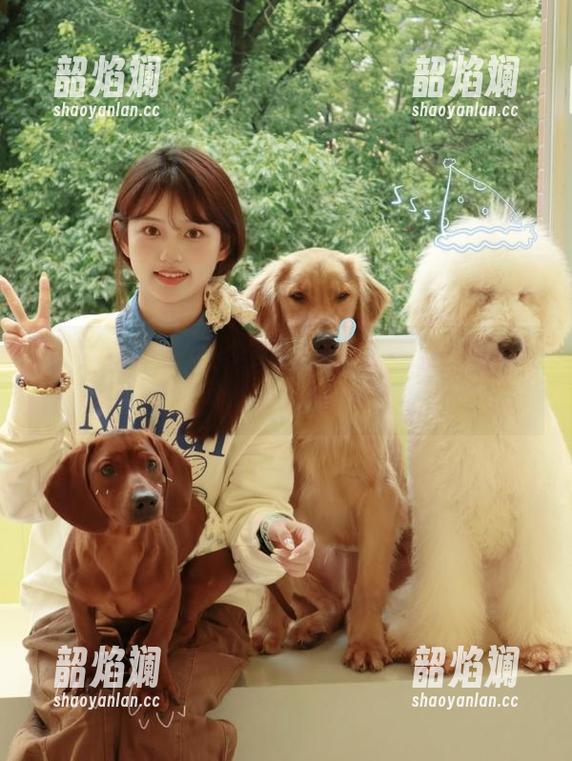 少女风满满，今日吃瓜91吃瓜中心官网视频合集