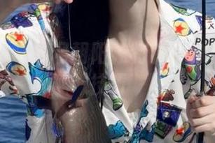 吃瓜网朝阳独特资源分享及使用技巧