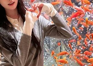 黑料不打烊网页版苹果版最新版本，吃瓜资讯24小时不打烊