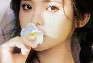 黑料不打烊在线观看网页免费提供最新独家爆料