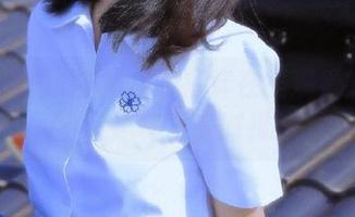 黑料不打烊在线观看最新社会动态每日实时推送