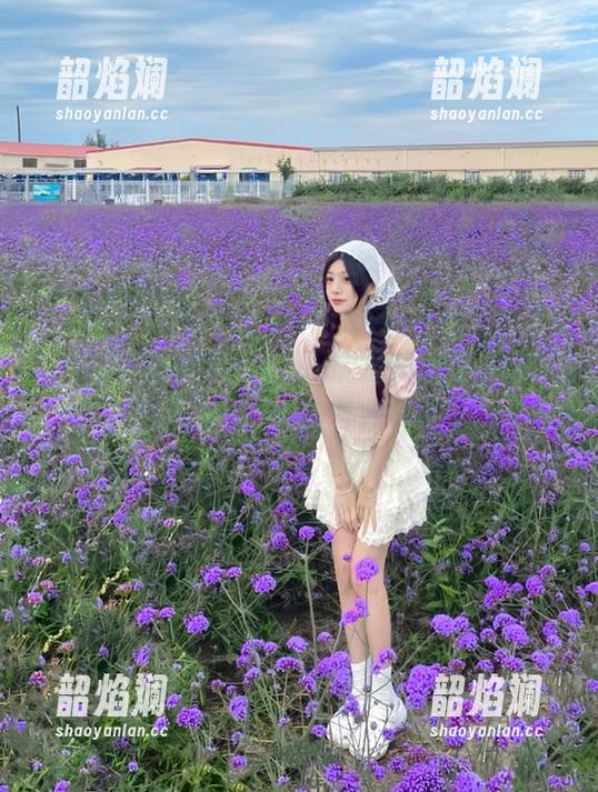 在黑料正能量和黑料不打烊，观看精彩爆料内容并收藏重点