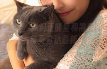 黑料正能量和黑料不打烊在线看首页直达最新资源